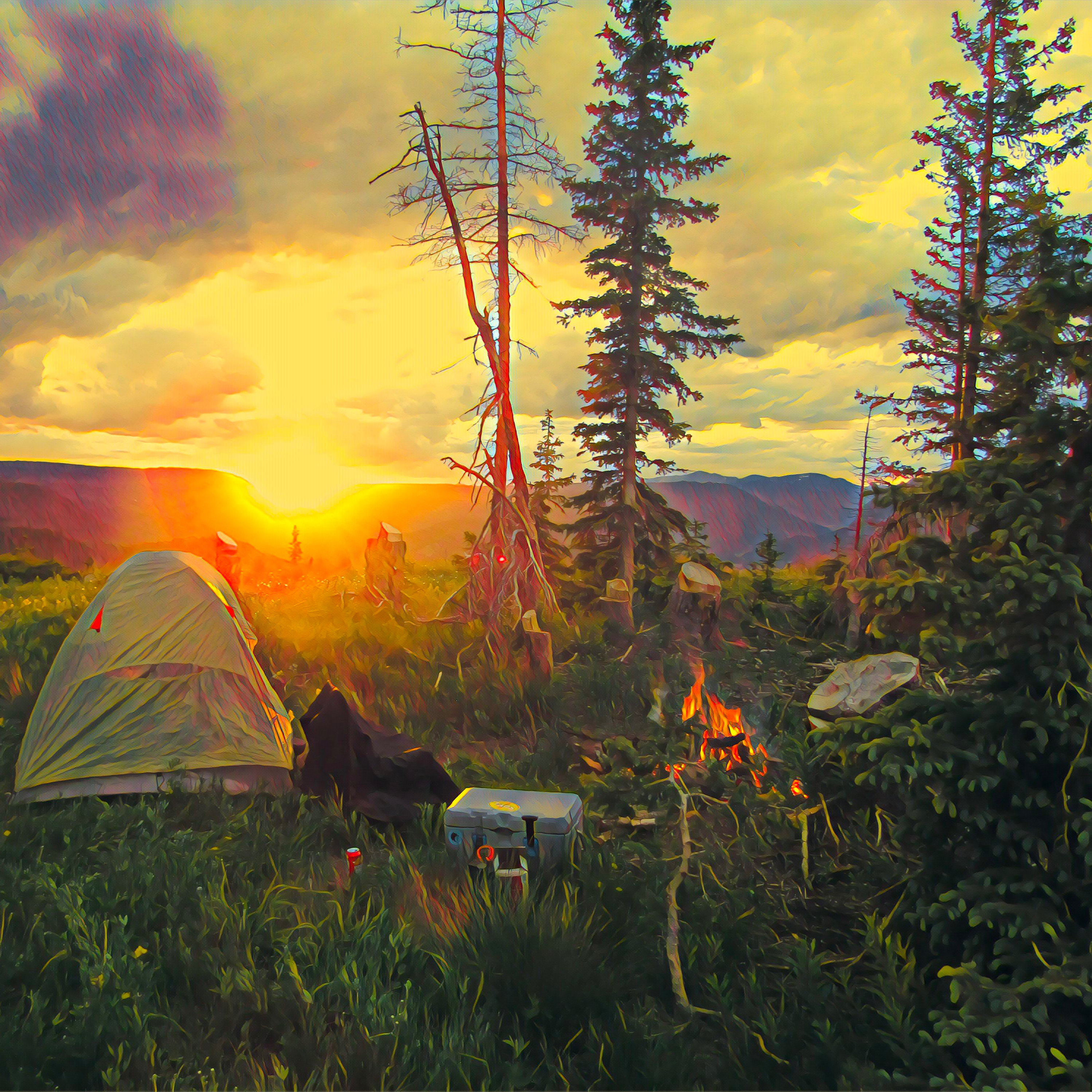 Dr. Milo Meeker’s Field Notes